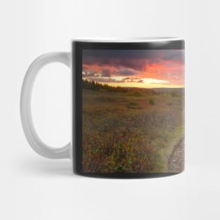 Dolly Sods Twilight Trail Mug